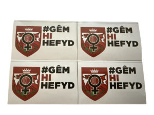X50 HERGAMETOO CRICKET CYMRU VINYL STICKERS