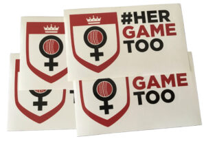 X50 HERGAMETOO CRICKET OFFICIAL VINYL STICKERS