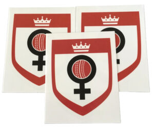X50 HERGAMETOO CRICKET TRANSPARENT STICKERS